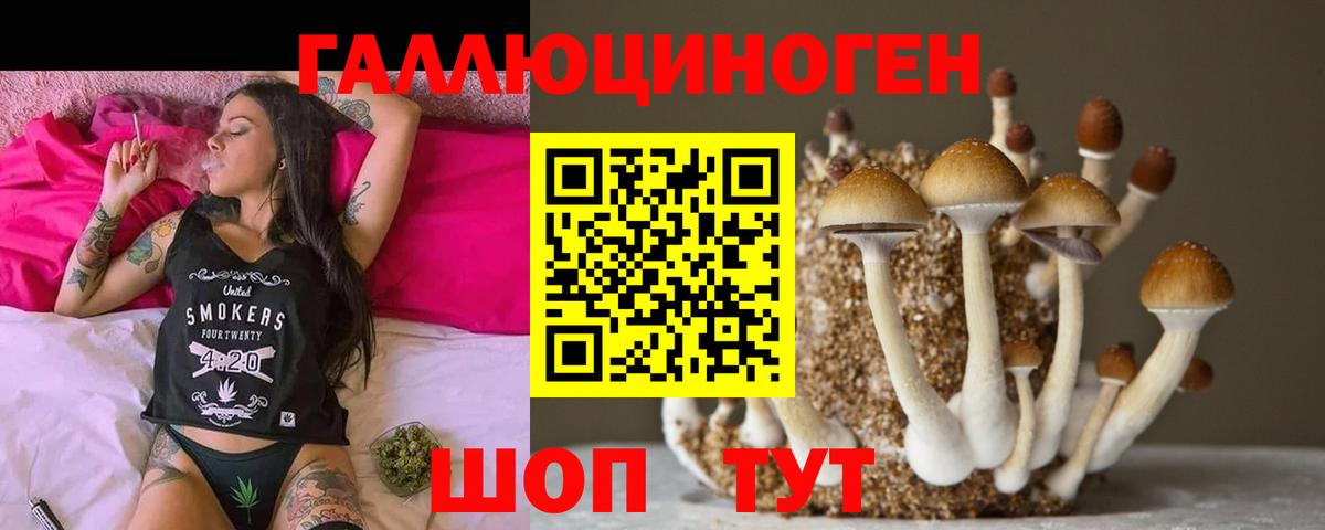 Азнакаево  Псилоцибиновые грибы Magic Shrooms  Галлюциногенные грибы MAGIC MUSHROOMS  Вход с VPN 